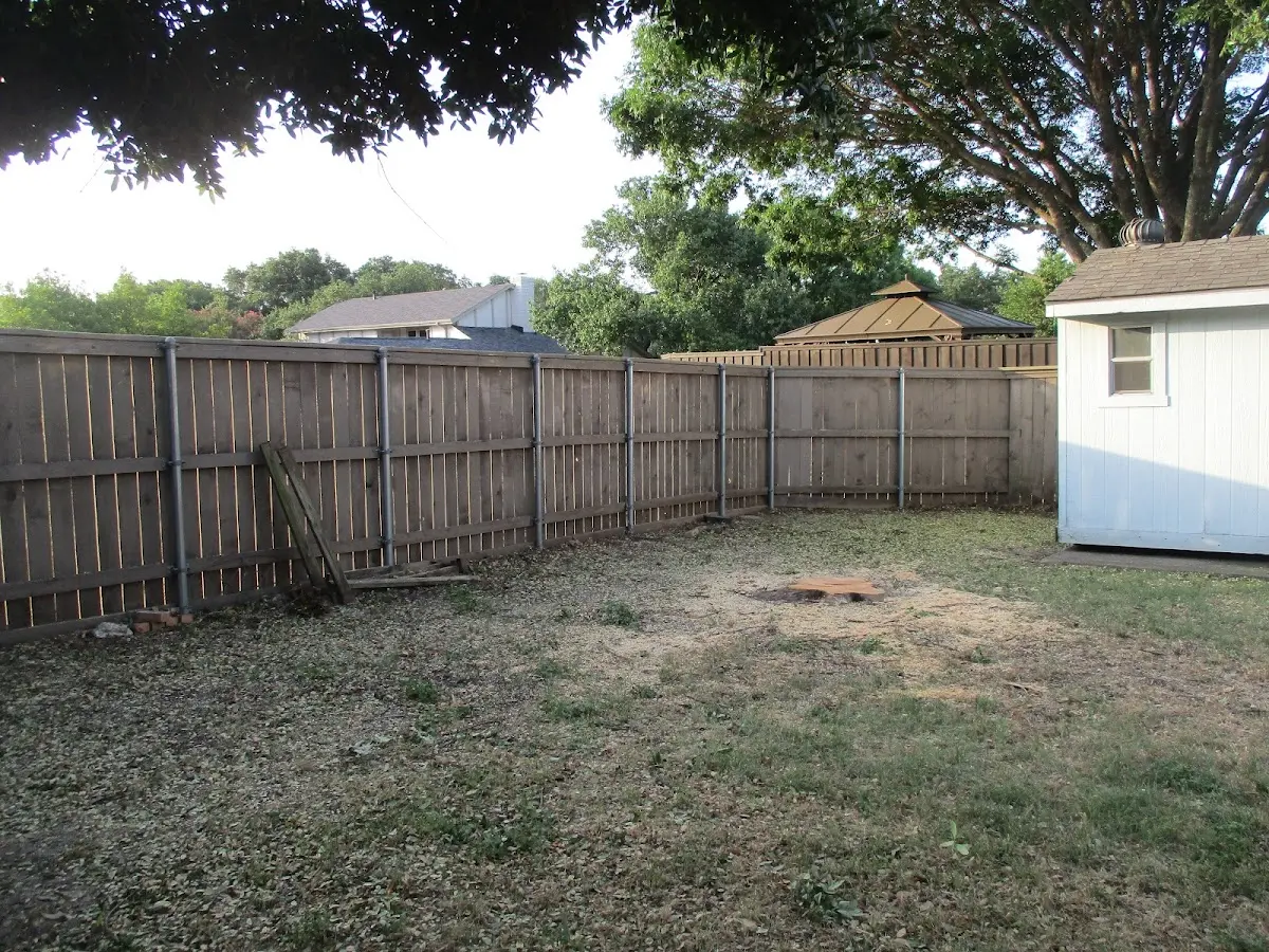 Cleared yard after professional tree removal in South Sterling