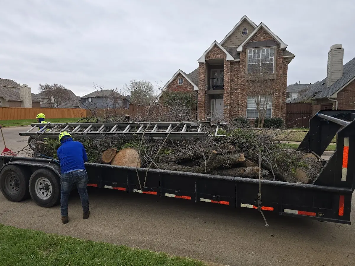 Expert Tree Pest Control with proper safety equipment in South Sterling
